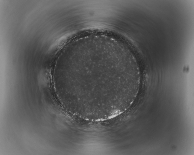 X0000111910918200908241023