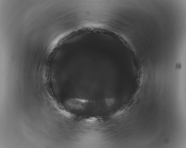 X0000111910919200908241023