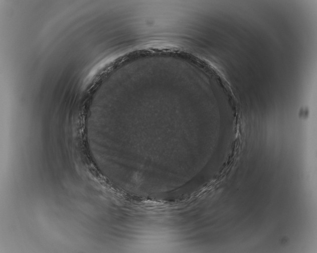 X0000111910920200908241023