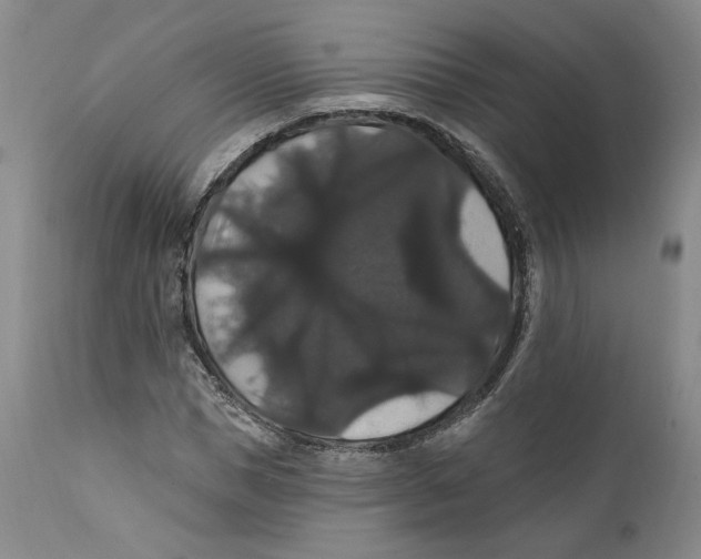 X0000111910921200908241023