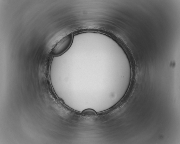 X0000111910922200908241023