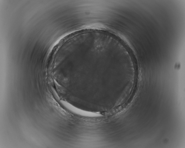 X0000111910923200908241023