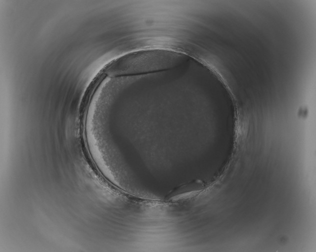 X0000111910924200908241023
