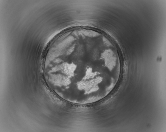 X0000111910925200908241023