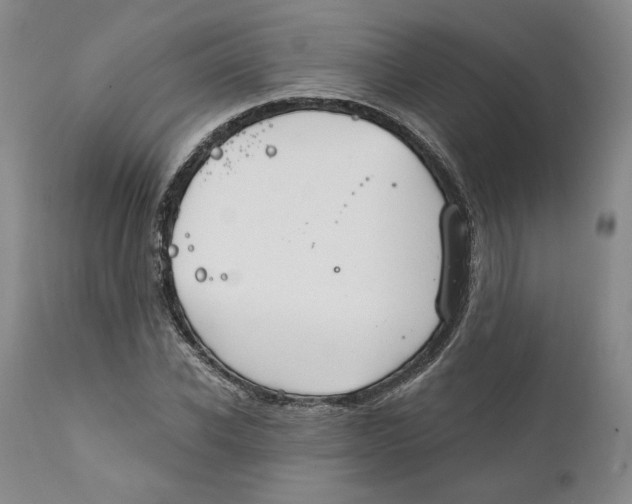 X0000111910926200908241023