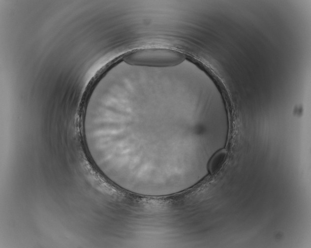 X0000111910928200908241023