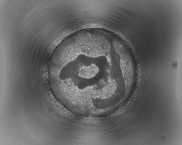 X0000111910929200908241023