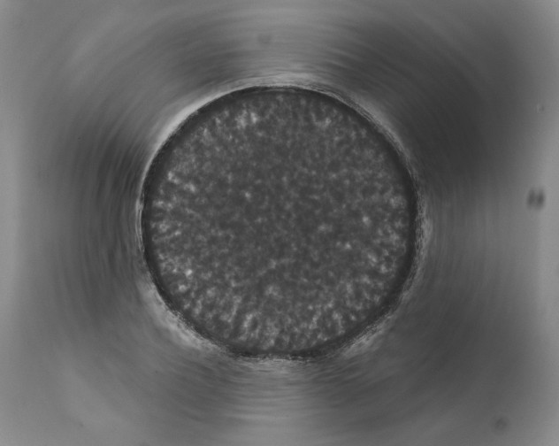 X0000111910932200908241023
