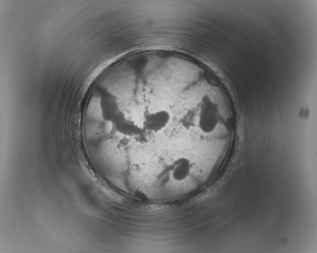 X0000111910933200908241023