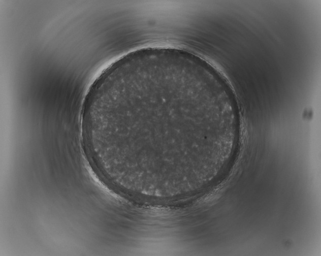 X0000111910935200908241023