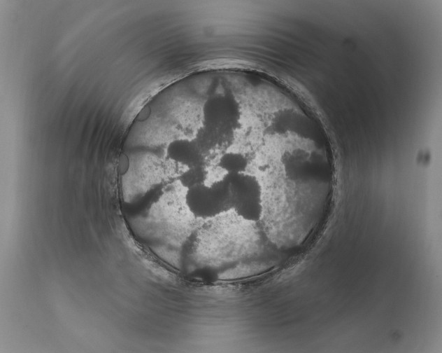 X0000111910937200908241023