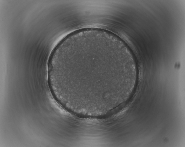 X0000111910940200908241023