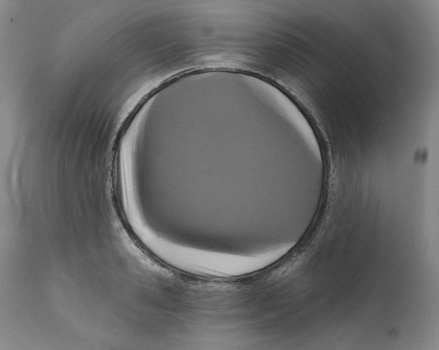 X0000111910941200908241023