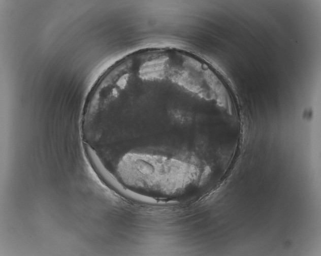 X0000111910943200908241023