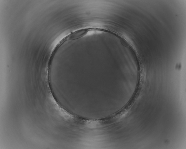 X0000111910944200908241023