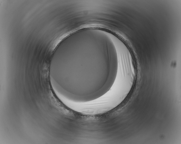 X0000111910945200908241023