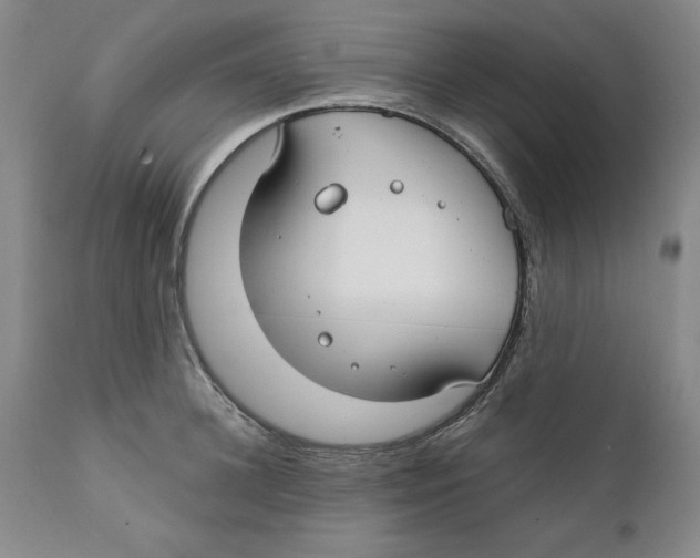 X0000111910948200908241023