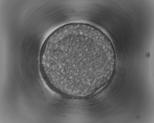 X0000111910951200908241024