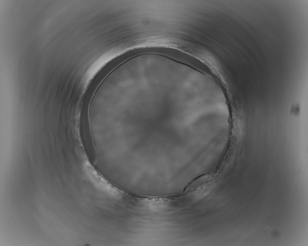 X0000111910952200908241024