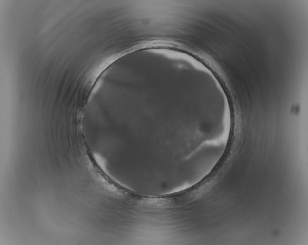 X0000111910953200908241024