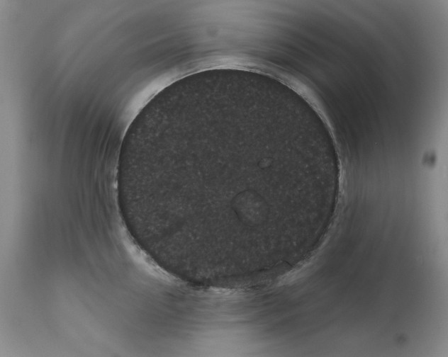 X0000111910954200908241024