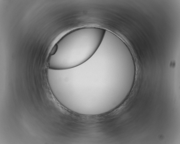 X0000111910956200908241024