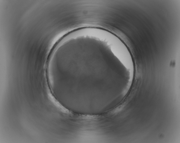 X0000111910958200908241024