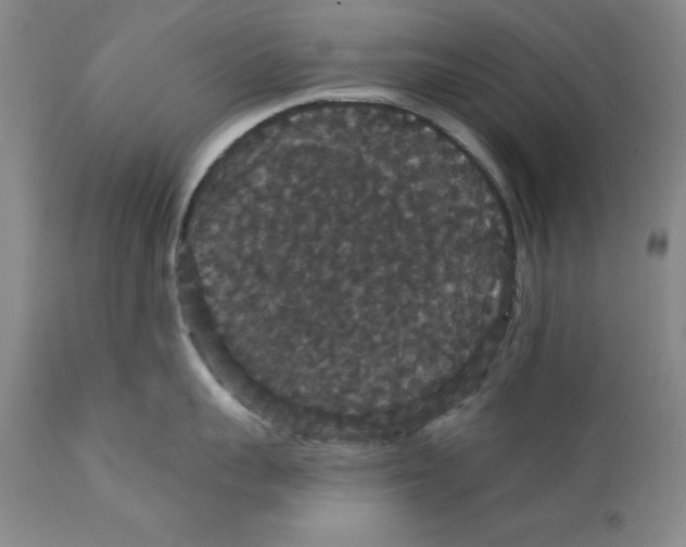 X0000111910959200908241024