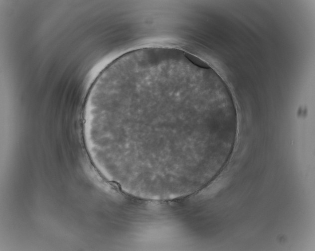 X0000111910960200908241024