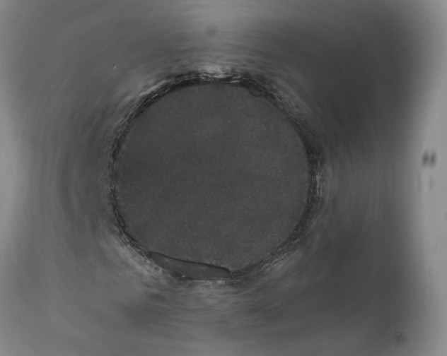 X0000111910961200908241023