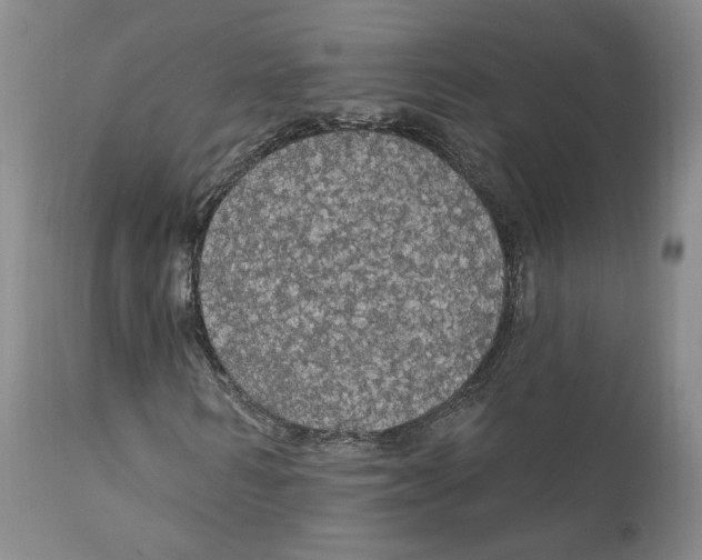 X0000111910962200908241023
