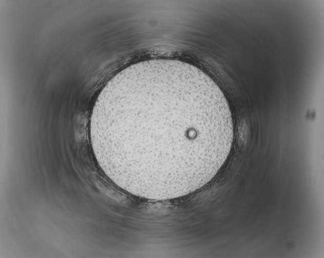 X0000111910964200908241023