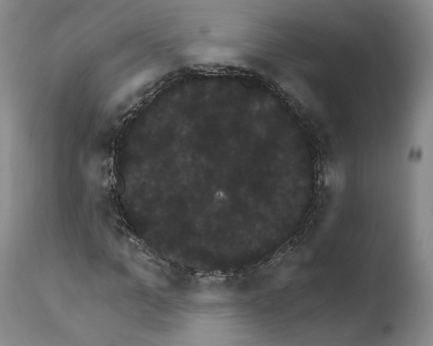 X0000111910965200908241023