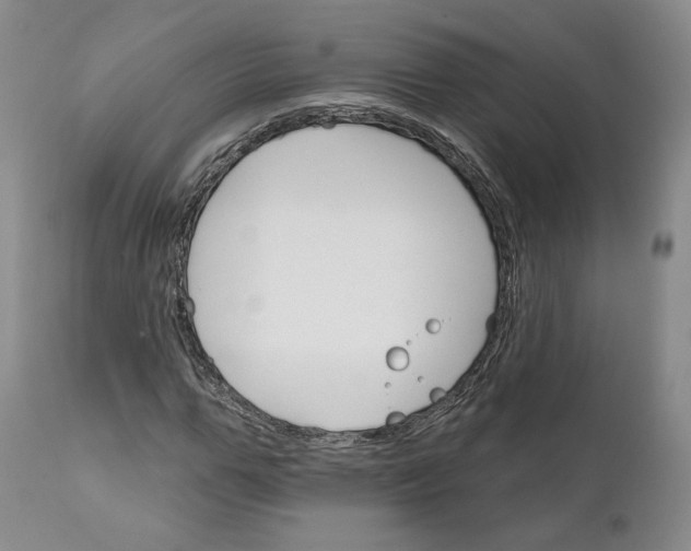 X0000111910967200908241023