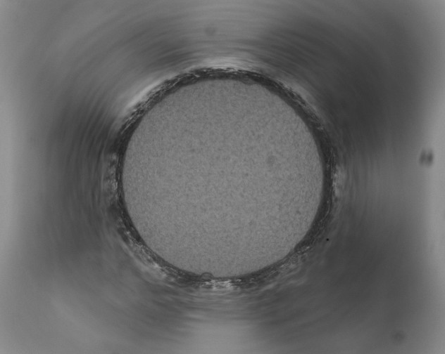 X0000111910968200908241023