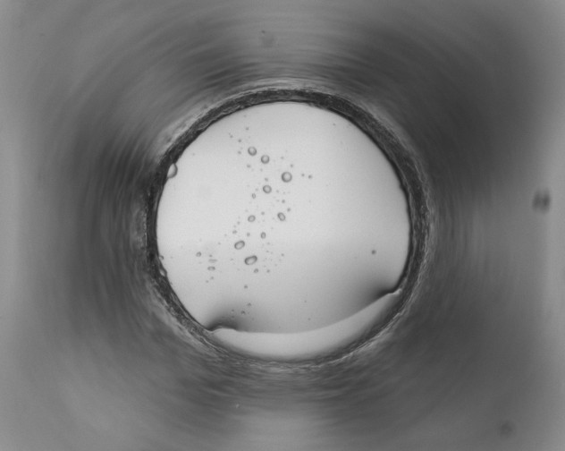 X0000111910969200908241023