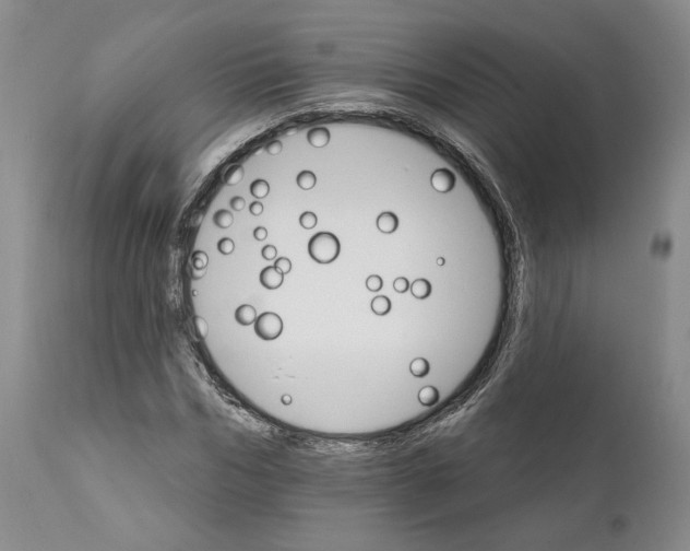 X0000111910970200908241023