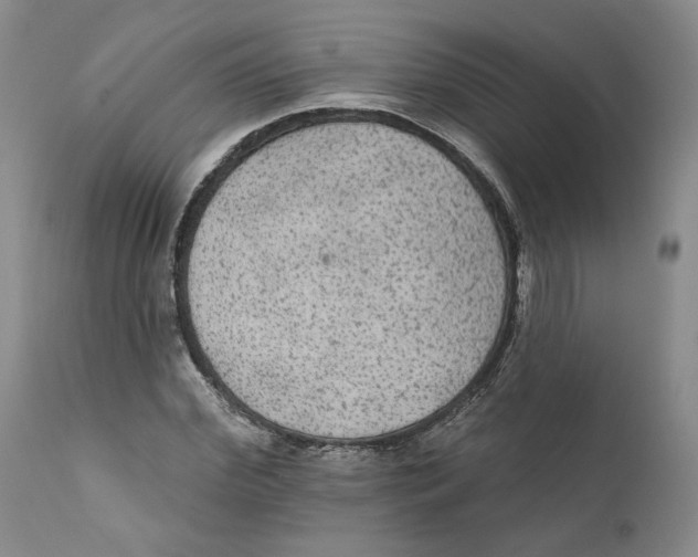 X0000111910972200908241023