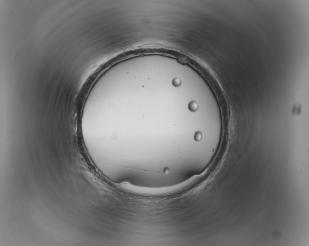 X0000111910973200908241023