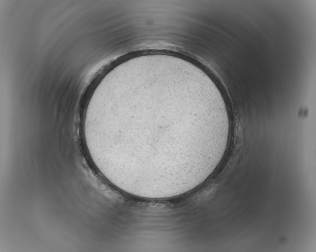 X0000111910979200908241023