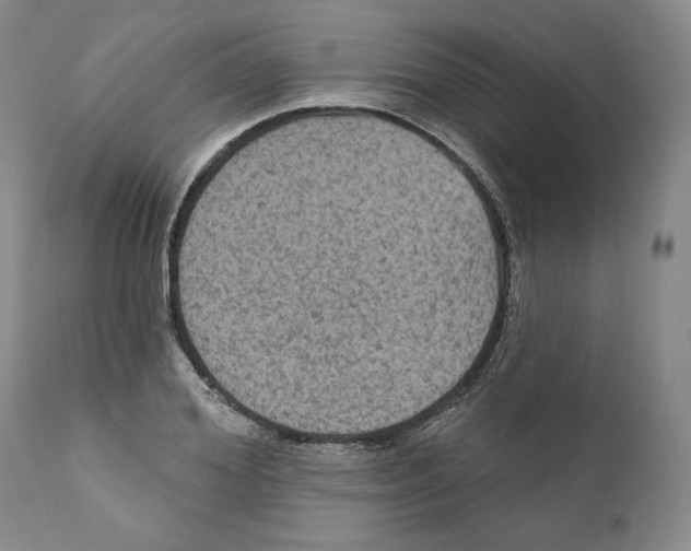 X0000111910980200908241023