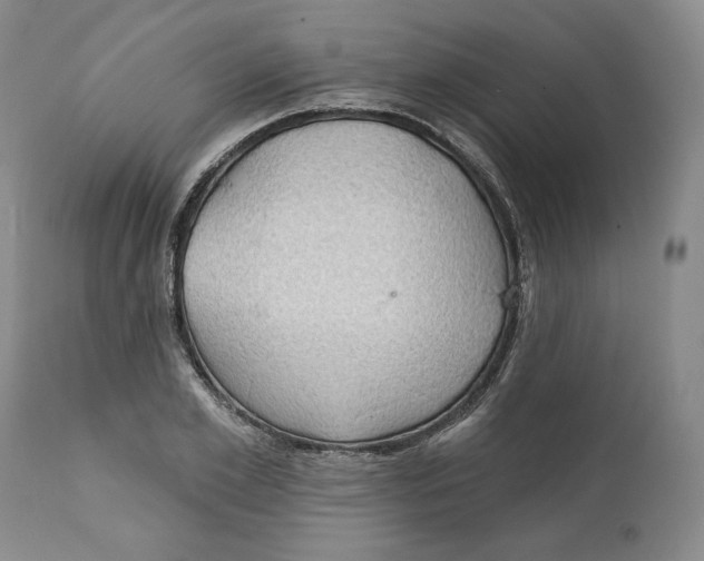 X0000111910981200908241023