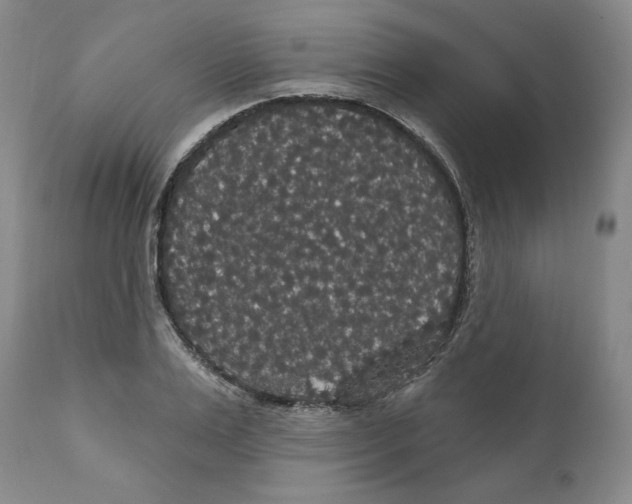 X0000111910983200908241023