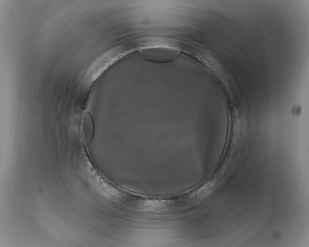 X0000111910985200908241023
