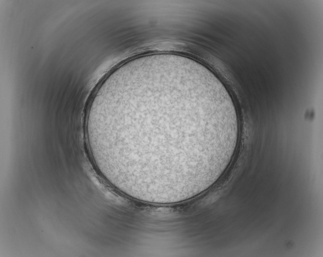 X0000111910986200908241023