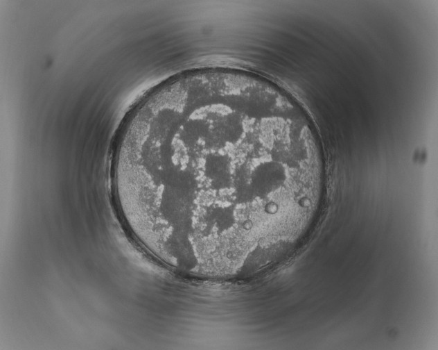 X0000111910987200908241023