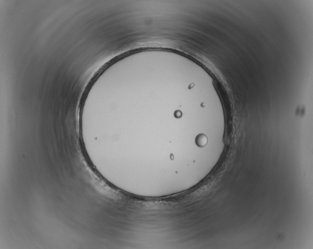 X0000111910988200908241023