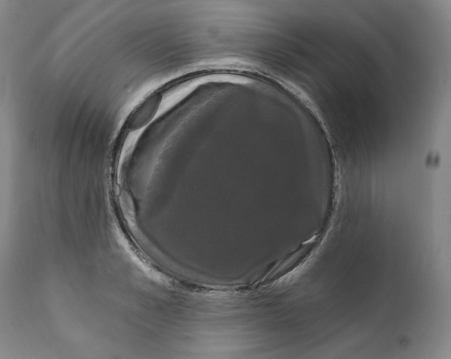X0000111910989200908241023