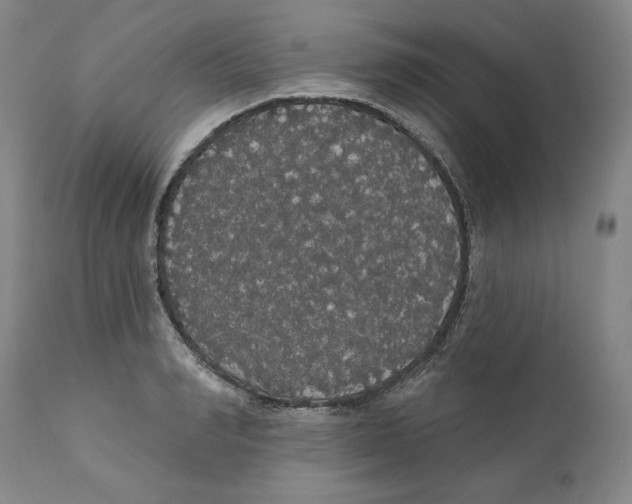 X0000111910990200908241023