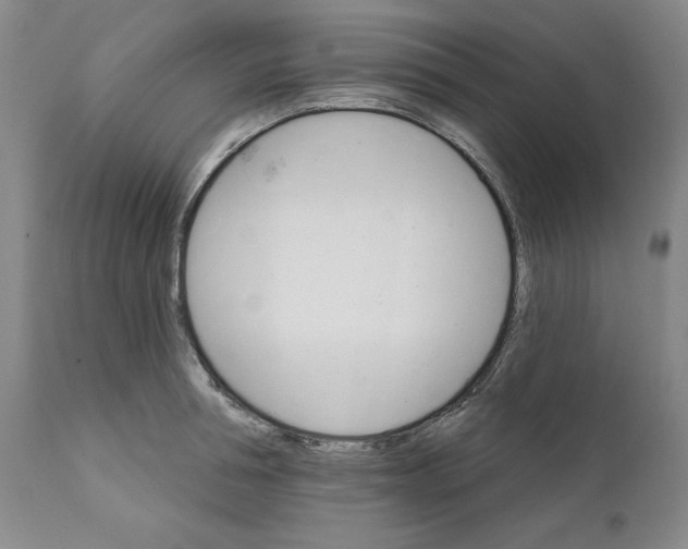 X0000111910994200908241023